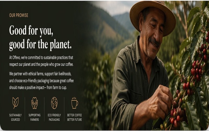 Eastern Ghats Coffee Plantation